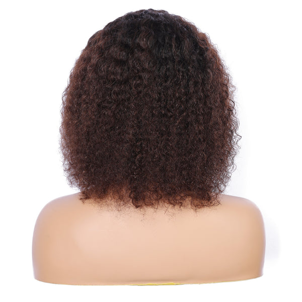 Human Hair Curly Lace Front Wig Black & Brown Style